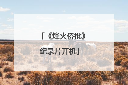 《烽火侨批》纪录片开机