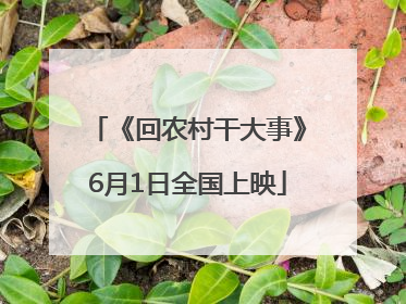 《回农村干大事》6月1日全国上映