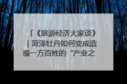 《旅游经济大家谈》｜菏泽牡丹如何变成造福一方百姓的“产业之花”“富民之花”？
