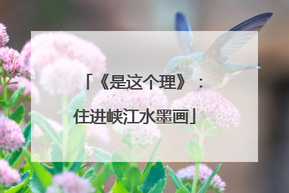 《是这个理》：住进峡江水墨画