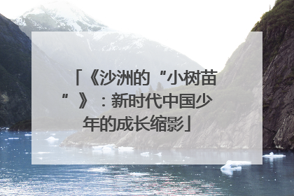 《沙洲的“小树苗”》：新时代中国少年的成长缩影