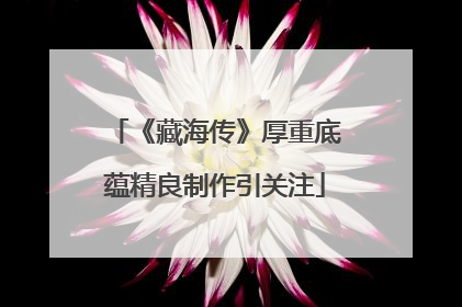 《藏海传》厚重底蕴精良制作引关注