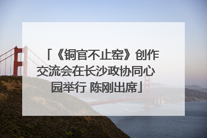 《铜官不止窑》创作交流会在长沙政协同心园举行 陈刚出席
