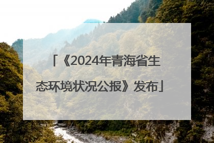 《2024年青海省生态环境状况公报》发布