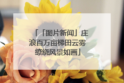 「图片新闻」庄浪百万亩梯田云雾缭绕风景如画
