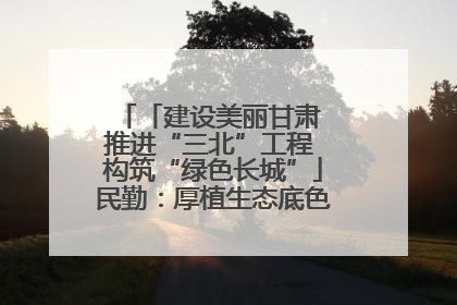 「建设美丽甘肃 推进“三北”工程 构筑“绿色长城”」民勤：厚植生态底色 筑牢绿色屏障