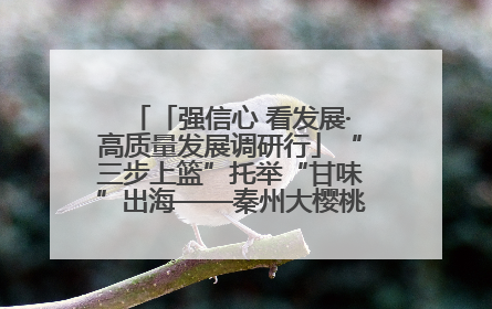 「强信心 看发展·高质量发展调研行」“三步上篮”托举“甘味”出海——秦州大樱桃高质量发展动作分解