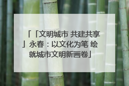「文明城市 共建共享」永春：以文化为笔 绘就城市文明新画卷
