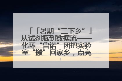 「暑期“三下乡”」从试剂瓶到数据流——化环“鲁诺”团把实验室“搬”回家乡，点亮桑梓求知路