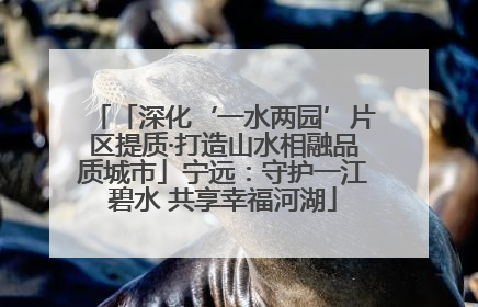 「深化‘一水两园’片区提质·打造山水相融品质城市」宁远：守护一江碧水 共享幸福河湖