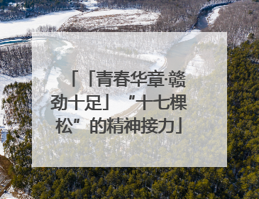 「青春华章·赣劲十足」“十七棵松”的精神接力