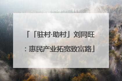 「驻村·助村」刘同旺：惠民产业拓宽致富路