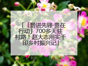 「黔进先锋·贵在行动」700多天驻村路！赵大志用实干印乡村振兴记