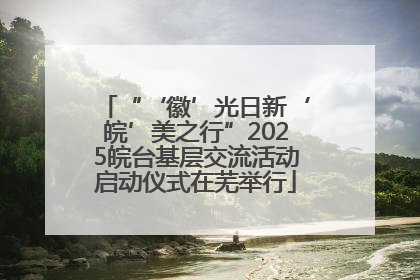 “‘徽’光日新‘皖’美之行”2025皖台基层交流活动启动仪式在芜举行
