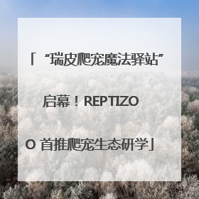 “瑞皮爬宠魔法驿站” 启幕！REPTIZOO 首推爬宠生态研学