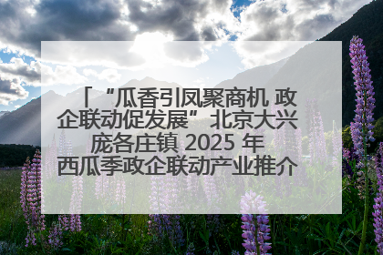 “瓜香引凤聚商机 政企联动促发展”北京大兴庞各庄镇 2025 年西瓜季政企联动产业推介活动圆满举行