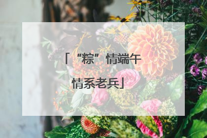 “粽”情端午 情系老兵