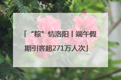 “粽”情洛阳丨端午假期引客超271万人次