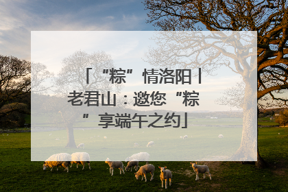 “粽”情洛阳丨老君山：邀您“粽”享端午之约