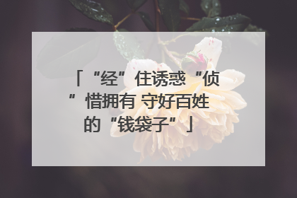 “经”住诱惑“侦”惜拥有 守好百姓的“钱袋子”