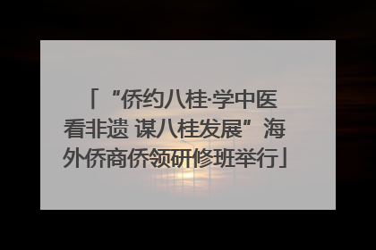 “侨约八桂·学中医 看非遗 谋八桂发展”海外侨商侨领研修班举行
