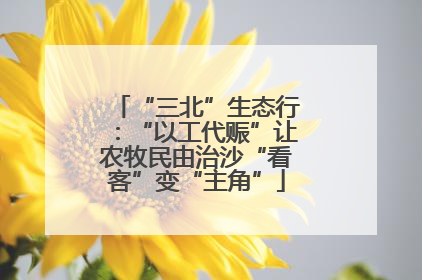 “三北”生态行：“以工代赈”让农牧民由治沙“看客”变“主角”
