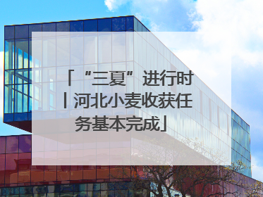 “三夏”进行时丨河北小麦收获任务基本完成