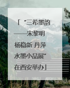 “三希墨韵——宋黎明 杨稳新 丹萍水墨小品展”在西安举办