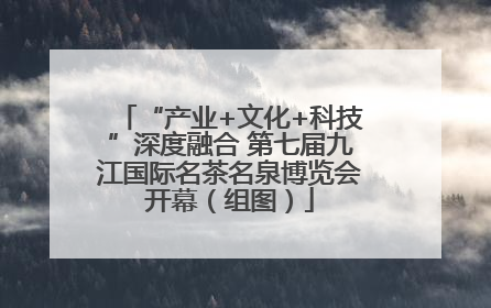 “产业+文化+科技”深度融合 第七届九江国际名茶名泉博览会开幕（组图）