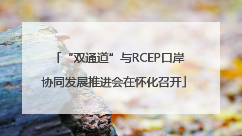 “双通道”与RCEP口岸协同发展推进会在怀化召开