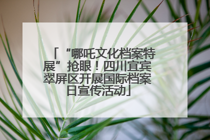 “哪吒文化档案特展”抢眼！四川宜宾翠屏区开展国际档案日宣传活动