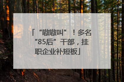 “嗷嗷叫”！多名“85后”干部，挂职企业补短板