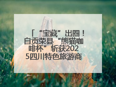 “宝藏”出圈！自贡荣县“熊猫咖啡杯”斩获2025四川特色旅游商品大赛铜奖