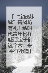“宝藏苏城”碧凤坊有礼！新时代青年榜样喊话宝子们这个六一来平江街道