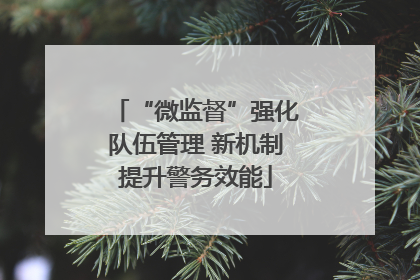“微监督”强化队伍管理 新机制提升警务效能