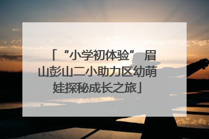 “小学初体验” 眉山彭山二小助力区幼萌娃探秘成长之旅