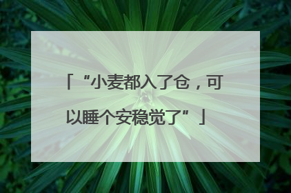 “小麦都入了仓，可以睡个安稳觉了”