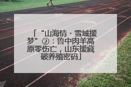 “山海情・雪域援梦”②：鲁中肉羊高原零伤亡，山东援藏破养殖密码