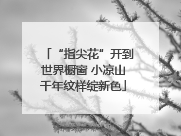 “指尖花”开到世界橱窗 小凉山千年纹样绽新色