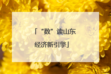 “数”读山东经济新引擎