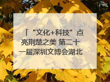 “文化+科技”点亮荆楚之美 第二十一届深圳文博会湖北馆抢“鲜”看