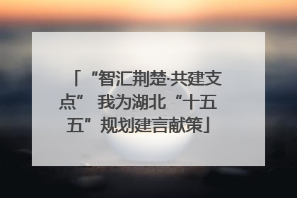 “智汇荆楚·共建支点” 我为湖北“十五五”规划建言献策