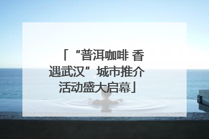 “普洱咖啡 香遇武汉”城市推介活动盛大启幕