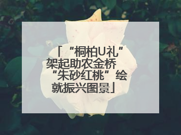“桐柏U礼”架起助农金桥 “朱砂红桃”绘就振兴图景