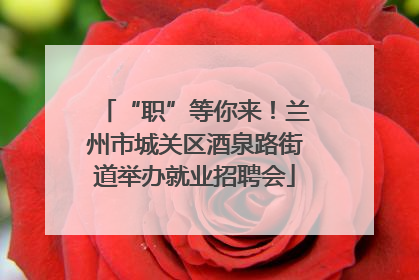“职”等你来！兰州市城关区酒泉路街道举办就业招聘会