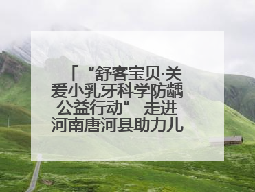 “舒客宝贝·关爱小乳牙科学防龋公益行动” 走进河南唐河县助力儿童口腔健康