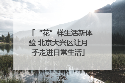 “花”样生活新体验 北京大兴区让月季走进日常生活