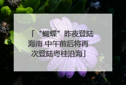 “蝴蝶”昨夜登陆海南 中午前后将再次登陆粤桂沿海