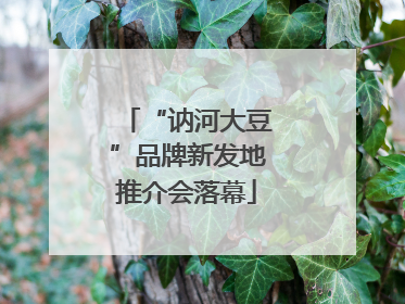 “讷河大豆”品牌新发地推介会落幕