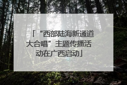 “西部陆海新通道大合唱”主题传播活动在广西启动